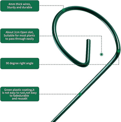 10 pcs 8 inch Metal Single Stem Flower Plant Support Stakes and Rings for Amaryllis Orchid Lily Sunflower Rose Narcissus