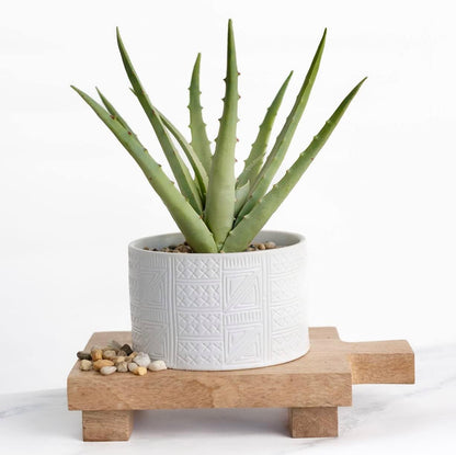 Artificial plant in white ceramic pot | 10" high sage green faux agave plant in white pot | fake plant for desk decor | Artificial agave for home decor indoor | Artificial succulent for shelf decor