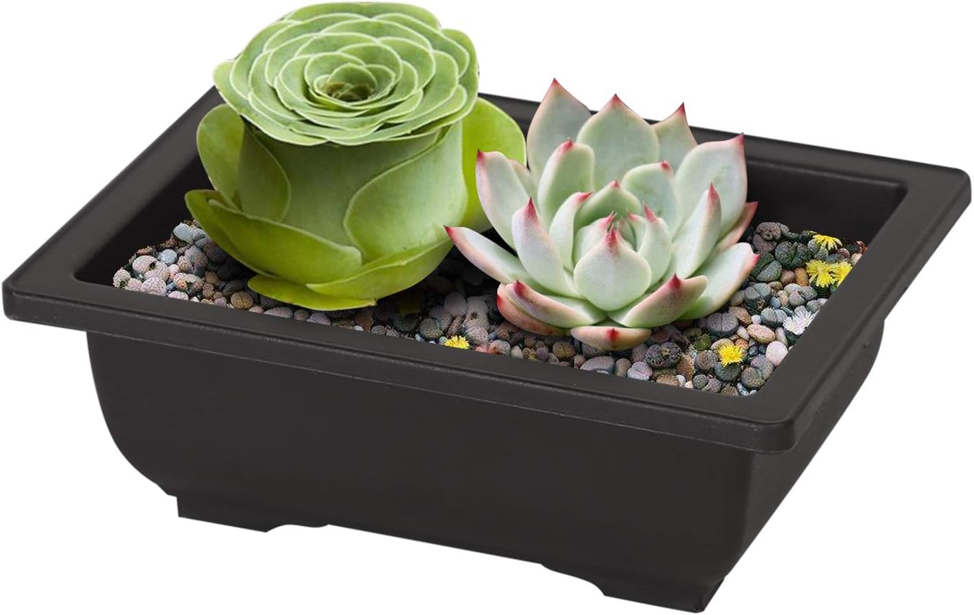 KINJOEK 15 PCS 6.5 Inch Plant Pot, Rectangular Plastic Bonsai Training Pots with 15 Humidity Trays, Flower Succulent Pots Container for Garden, Indoor, Home Decorative