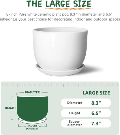 8 Inch Ceramic Planter, Plant Pots with Drainage Hole and Separable Saucer,Indoor-Outdoor Round Succulent Orchid Flower Pot,Indoor pots for Plants(Smooth White,Plant Pot only)