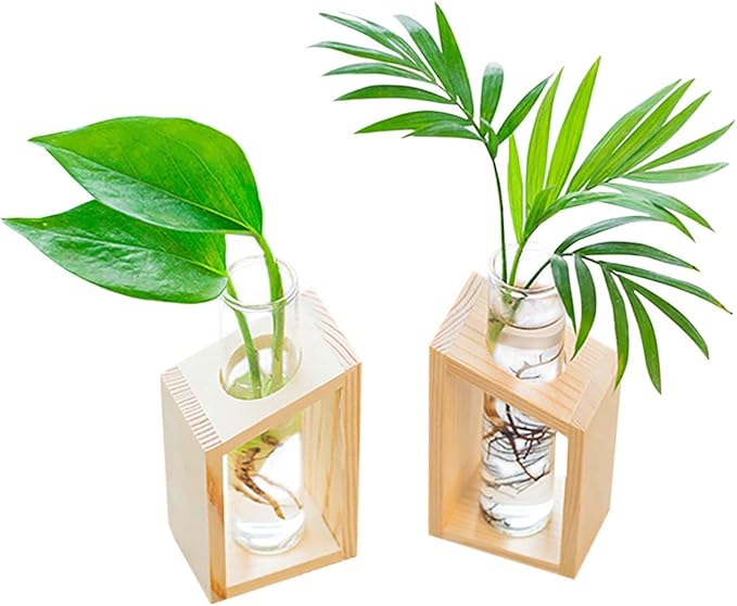 Propagation Station, Plants Terrarium, Plants Lover Gifts for Women,Plant Cutting Holder Home décor,Gifts for Women,House Warming New Home-2 Tubes-Beige