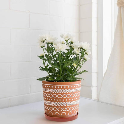 Ceramic Plant Saucer Pot Tray 8.5 Inch, Planter Saucers 6 7 8 9 10 11 12 15 Inch, Durable Sturdy Flower Drainage drip Water Tray for Glazed Pots Base (8.5 Inch- Red Terracotta)