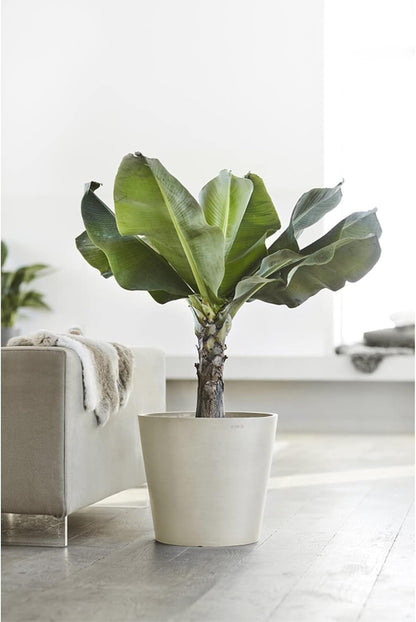 Ecopots Amsterdam Durable Modern Round Indoor/Outdoor Recycled-Based Composite Flower Pot Planter, White Grey, 16"