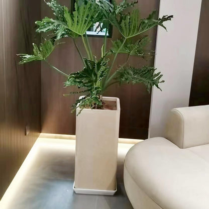 2 Pack Square Plant Saucer 20 22 Inch, Deep Plant Trays for Pots, Planters for Indoors and Outdoors Plants, Duty Plastic Plant Water Tray, Extra Large Plant Saucer (20 inch, White)