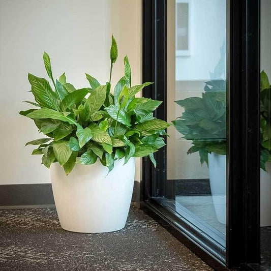 Memphis 18" Round Indoor Floor Planter Pot – Lightweight & Durable Plastic, Modern Design, Made in USA, Recyclable Large Plant Container for Home & Office Décor (Espresso Meta