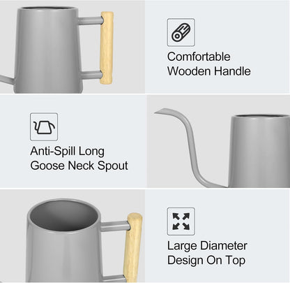 Watering Can Indoor Plants, 35 oz/1000 ml Metal Stainless Steel Watering Can Pot with Long Spout for Indoor House Plants Bonsai Outdoor Garden Flower Decorative (Gray)