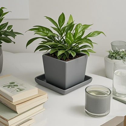 Square Plant Saucer 8 Inch 2 Pack，Plant Trays for Pots, Gray Ceramic Plant Saucers for Indoors Outdoors, Plant Drip Tray 4 6 8 10 12 14 Inch