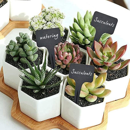 100 Pcs Waterproof Black Durable Plastic Plant Outdoor Garden Labels Nursery Markers T-Type Thick Tags Re-Usable for Vegetables Seedlings