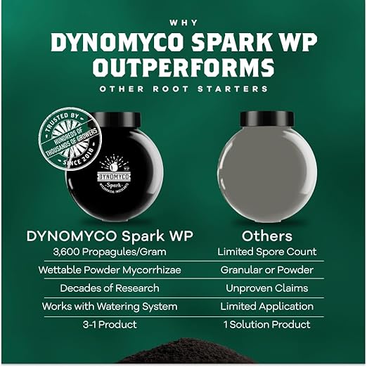 DYNOMYCO Spark WP Mycorrhizal Fungi, 6oz Wettable Powder – 3-In-1 Root Enhancer Amplifies Nutrient Uptake & Yield – Treats 38 Plants, Indoor/Outdoor Bio-Stimulant – Dissolves Fast in Seed Starter Soil