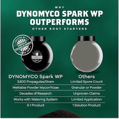 DYNOMYCO Spark WP Mycorrhizal Fungi, 6oz Wettable Powder – 3-In-1 Root Enhancer Amplifies Nutrient Uptake & Yield – Treats 38 Plants, Indoor/Outdoor Bio-Stimulant – Dissolves Fast in Seed Starter Soil