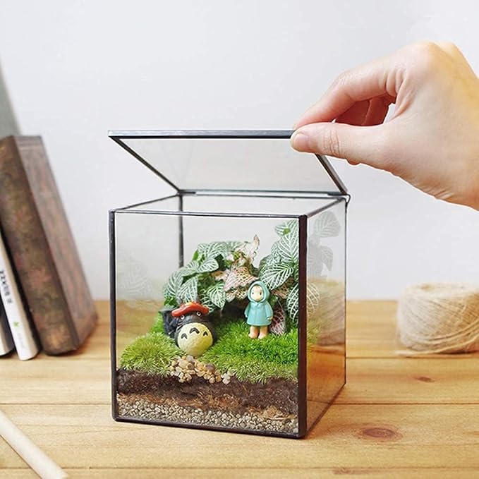 Small Square Glass Terrarium with Lid,Geometric Clear Box for Indoor Plants,Black Little Handmade Planter Pot for Succulents,Moss and Air Plant Fern,Home Garden Decor,4.3 x 4.3 x 4.7inch