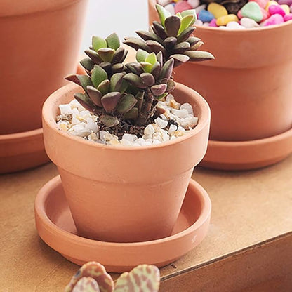 Briful 6 PCS Mini Terracotta Plant Pots 3.9"x3.9" Flower Pots Clay Pottery Planter with Saucer and Drainage Hole Cactus Succulent Nursery Pots- Great for Plants,Crafts