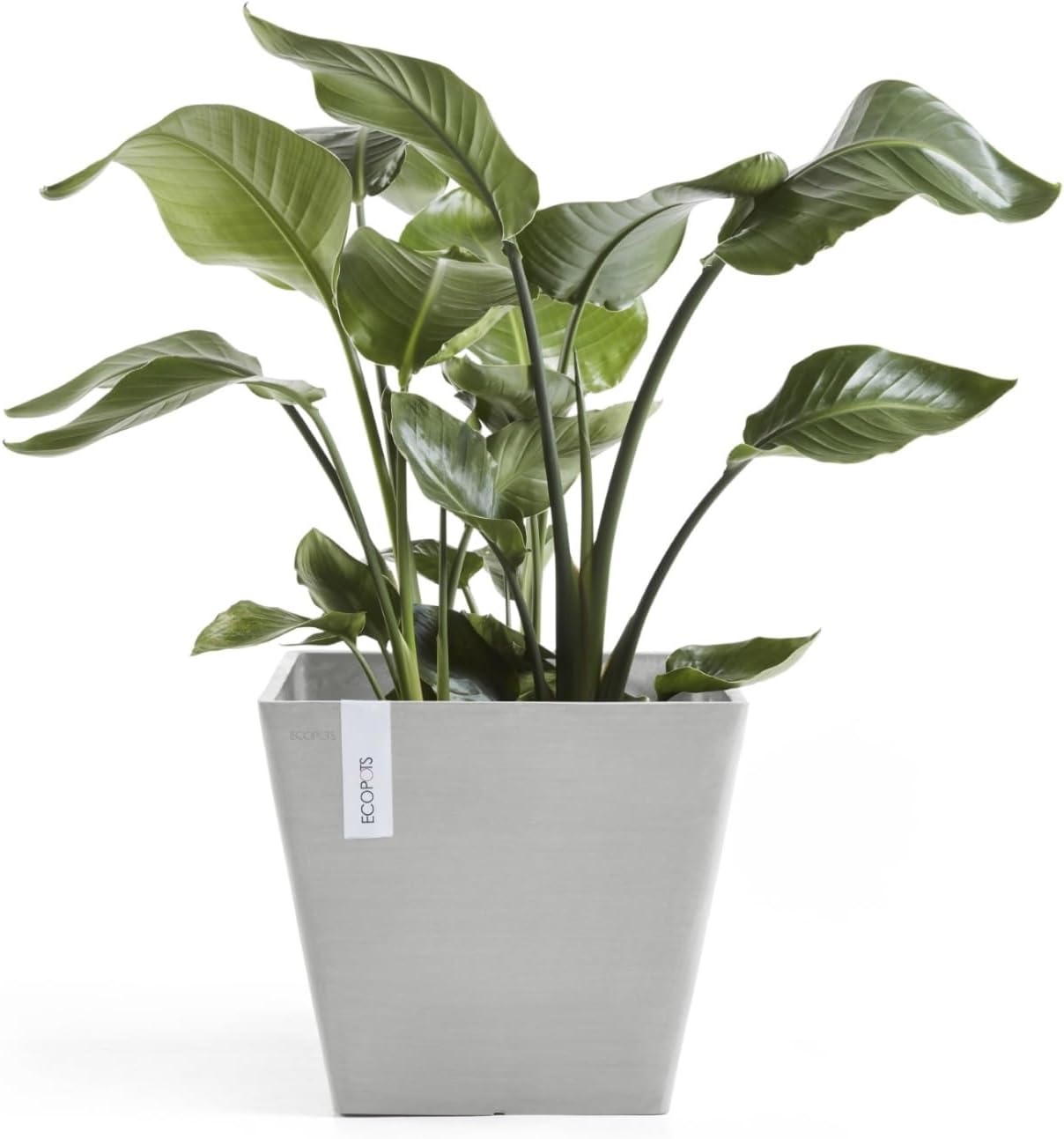 Ecopots Rotterdam Durable Modern Square Indoor/Outdoor Recycled-Based Composite Flower Planter, White Grey, 15.75"