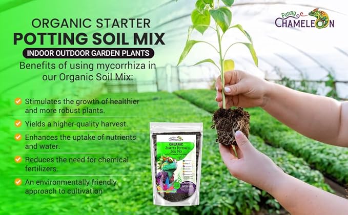 Organic Seed Starter Soil – Seed Starting Mix with Mycorrhizal Fungi – Natural Root Stimulator – Potting Soil for Vegetables and Herbs (2 QUARTS)
