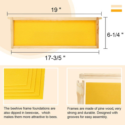 10 Frame Bee Hive Box, Langstroth Medium Super Bee Box Dipped in 100% Beeswax Include Beehive Frames and Waxed Foundation Sheets (Unassembled)