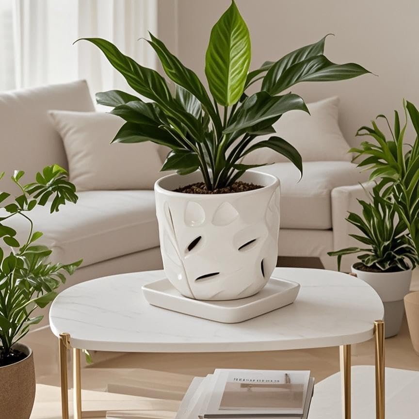 Square Plant Saucer 8 Inch 2 Pack，Plant Trays for Pots, White Ceramic Plant Saucers for Indoors Outdoors, Plant Drip Tray 4 6 8 10 12 14 Inch