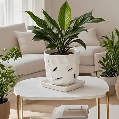 Square Plant Saucer 8 Inch 2 Pack，Plant Trays for Pots, White Ceramic Plant Saucers for Indoors Outdoors, Plant Drip Tray 4 6 8 10 12 14 Inch