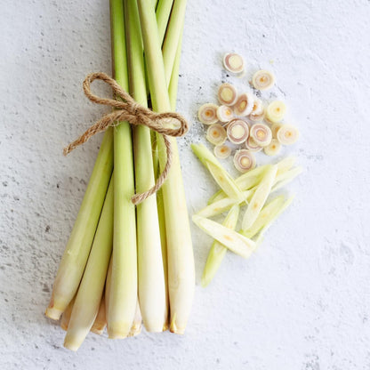 Lemongrass - Cymbopogon citratus. Live Plant. Fragrant, Fresh, Edible. Easy Grow. Indoor/Outdoor. (4 Lemongrass in Sac)