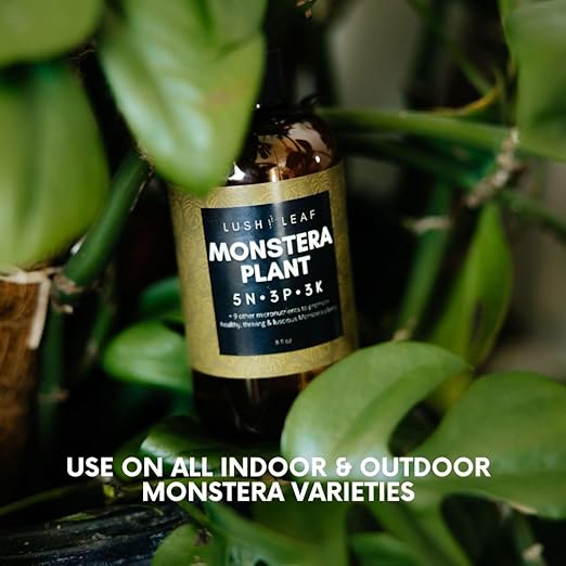 Lush Leaf | Plant Food (Monstera)