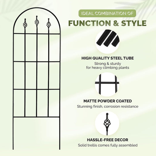 Idzo Decorative Metal Trellis for Climbing Plants Outdoor, Anti-Corrosion Powder Coated Garden Trellis, Sturdy Long Spikes, 48 Inch