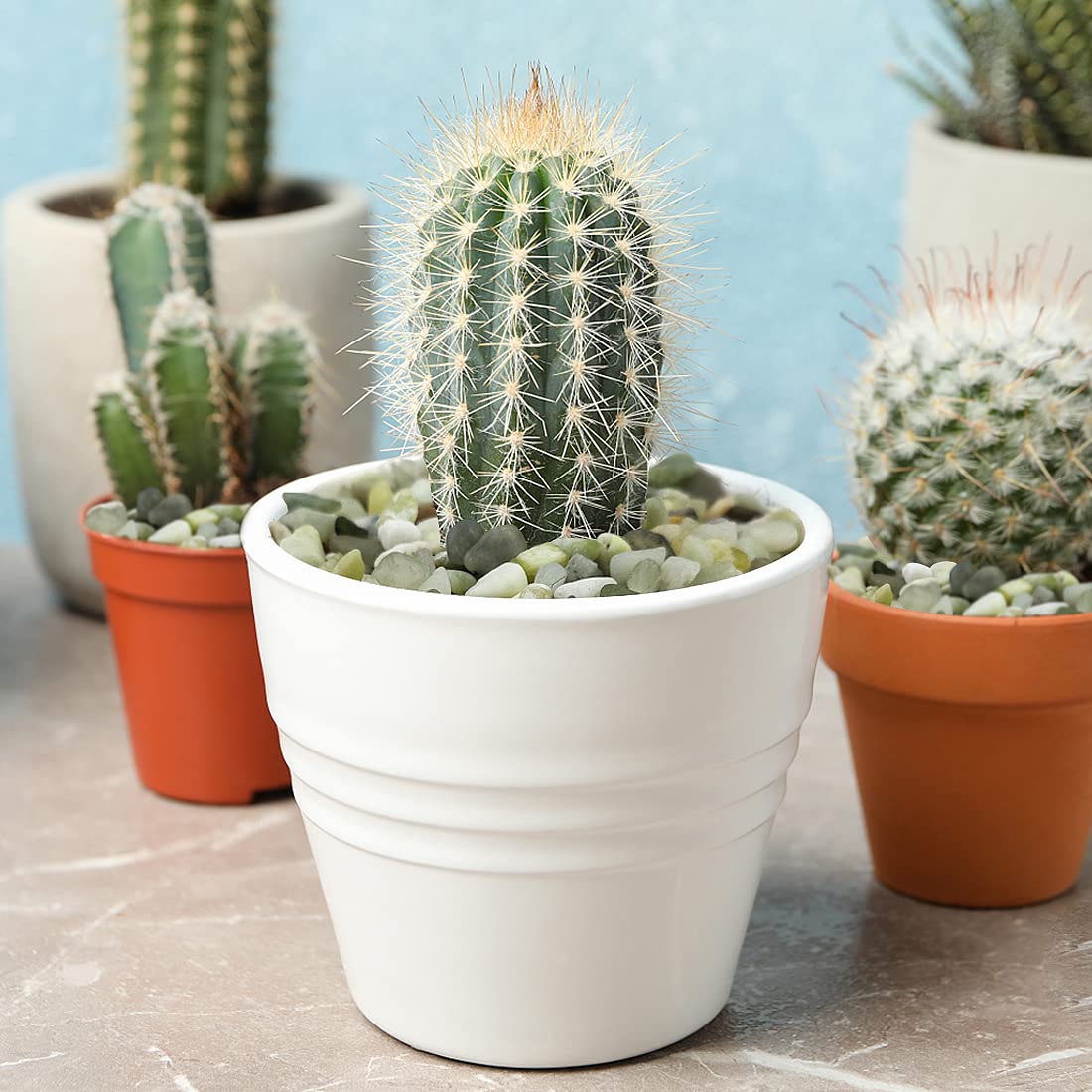 5LB Succulent and Cactus Jade Pebbles, 3/8 Inch Natural Decorative Polished Stones, River Rocks for Indoor Plants, Vases, Planters and Outdoor Gardening