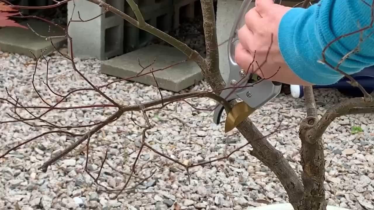 Pruning Shears Ratcheting Garden Tool | Pruners for Gardening Hand Tools | Branch Cutter | Flower Arrangements Supplies | Tree Pruner | Lawn and Garden Tools Gardening Supplies | Florist Supplies