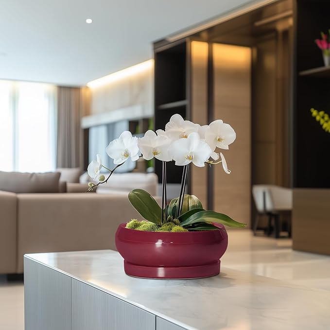 Succulent Pots - 8 Inch Bonsai Pots for Indoor Outdoor, Shallow Ceramic Planter with Drainage Hole and Saucer, Round Flower Succulent Planters, Apartment Decor, Gardening Gift, Red