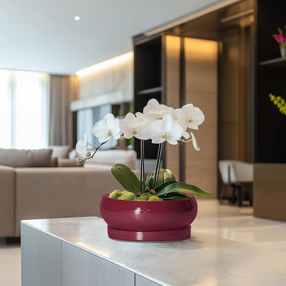 Succulent Pots - 8 Inch Bonsai Pots for Indoor Outdoor, Shallow Ceramic Planter with Drainage Hole and Saucer, Round Flower Succulent Planters, Apartment Decor, Gardening Gift, Red