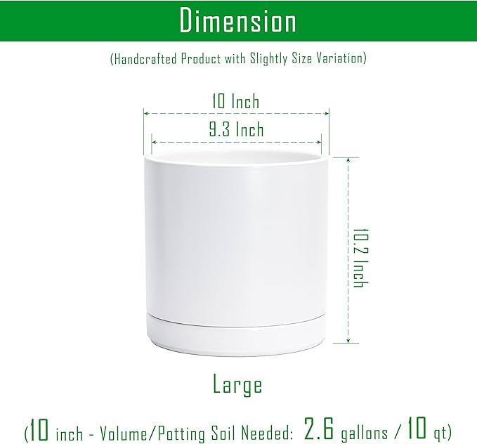 D'vine Dev 10 Inch Ceramic Planter Pot with Drainage Hole and Saucer, Indoor Cylinder Round Planter Pot, White, 94-O-E-1