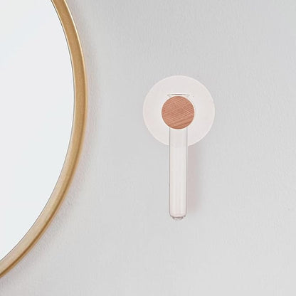 Milisten Plant Propagation Tubes: Wall Hanging Plant Terrarium with Wooden Stand Vase Glass Planter Stations for Hydroponic Flower Cutting Home Decor