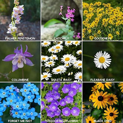 Rocky Mountain Wildflower Seeds Mix - 1 Lb Seed Pouch - 22 Wild Flower Seed Varieties - Annuals, Perennials and Bi-Annuals - Flower Garden