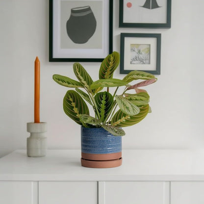 6 Inch Plant Pots, Ceramic Planter Pot with Drainage Hole & Saucer, Indoor/Outdoor Cylinder Round Planter Pot, Aqua Blue & Terracotta Red