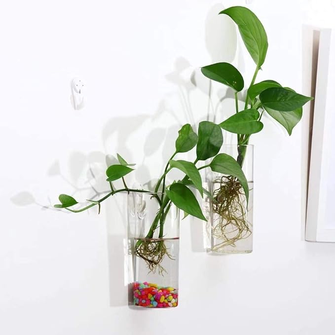 Kingbuy Glass Tube Wall Planter Propagation Station - 2 Pack Terrarium Cylinder Wall Vase with Plant Holder Hydroponic Planter for Home Kitchen Office Decor, Perfect Plant Lover Gifts (Short Cylinder)