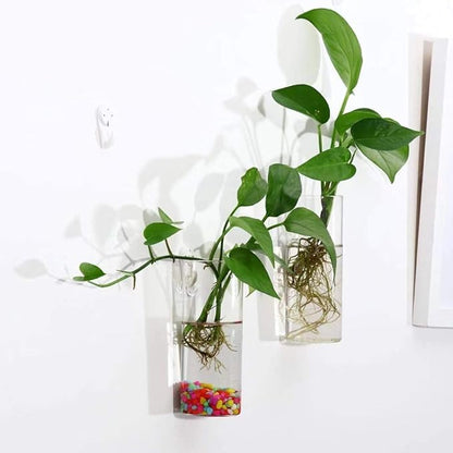 Kingbuy Glass Tube Wall Planter Propagation Station - 2 Pack Terrarium Cylinder Wall Vase with Plant Holder Hydroponic Planter for Home Kitchen Office Decor, Perfect Plant Lover Gifts (Short Cylinder)