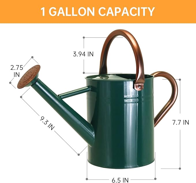 Metal Watering Can for Outdoor Plants, 1 Gallon Galvanized Steel Watering Can with Removable spout for Outdoor & Indoor Use, Perfect for Garden Flower, Houseplants, Forest Green