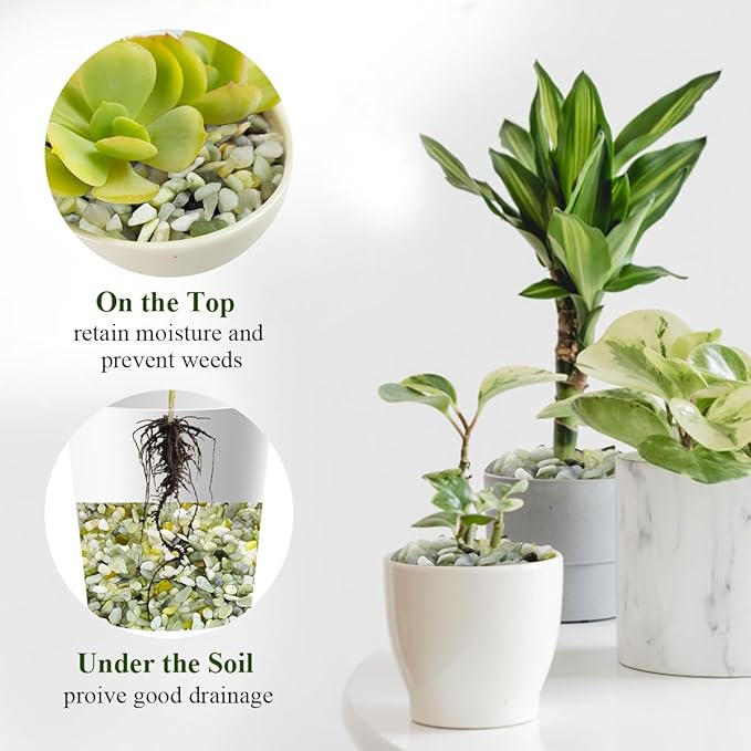 5 lbs Jade Pebbles for Indoor Plants,1/4 inch Polished Gravel Rocks for Plants, Succulents, Cactus, Vases, Terrarium and Outdoor Gardening