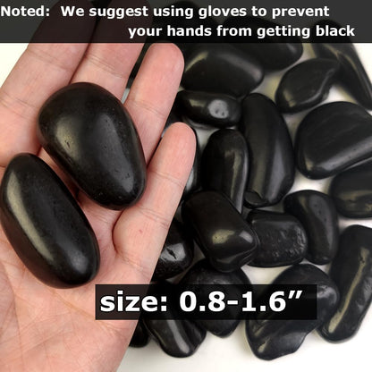 HappyFiller 18 LB Black Pebbles Decorative Polished Terrarium Rocks Stones for Aquarium,Fish Turtle Tank,Fountain,Plants Top Dressing,Cactus,Succulents,Garden Landscaping,0.8-1.6 Inch