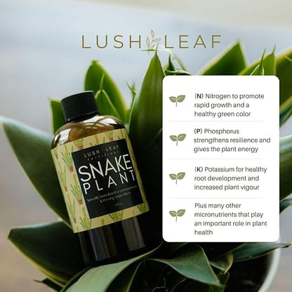 Lush Leaf | Plant Food (Snake Plant)