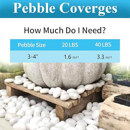 20lbs Large River Rocks for Landscaping, 3-4" White Pebbles for Garden Design, Hand-Picked Smooth Stones for Fish Tank, Flower Pots, Indoor Water Fountains, Pathways, Backyard