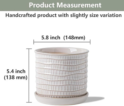 5.8 Inch Plant Pot: Ceramic Planter with Drainage Hole & Saucer - Cream White Flowerpot for Indoor & Outdoor Plants - with Separate Tray for Home & Office - Wave Embossed Design