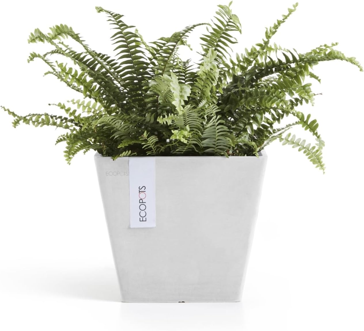 Ecopots Rotterdam Durable Modern Square Indoor/Outdoor Recycled-Based Composite Flower Planter, Pure White, 8"