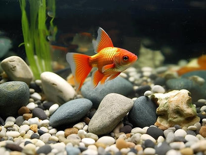 2 LBS River Rocks, StoneCreek, Decorative Garden Stones for Plant Landscaping, Polished Gravel Filler Pebbles for Home Decoration, Vases, Succulents, Flower Beds and Fish Tanks (Mixed Color, Medium)