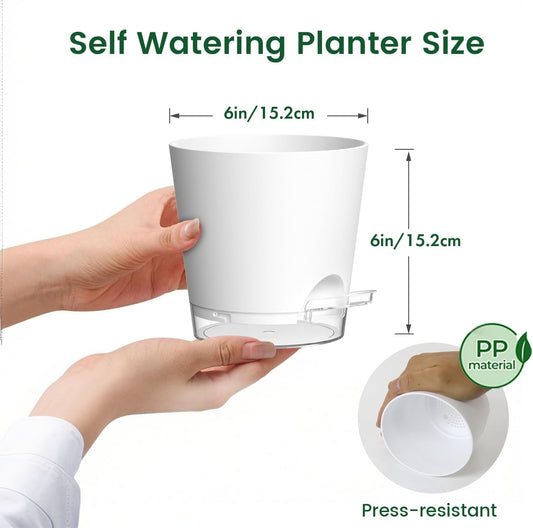 6 inch Self Watering Pots for Indoor Outdoor Plants, 6 Pack Flower Plant Pots with Drainage Holes and Clear Reservoirs, Visible Water Level, Plastic Planters with Wicking Rope, White