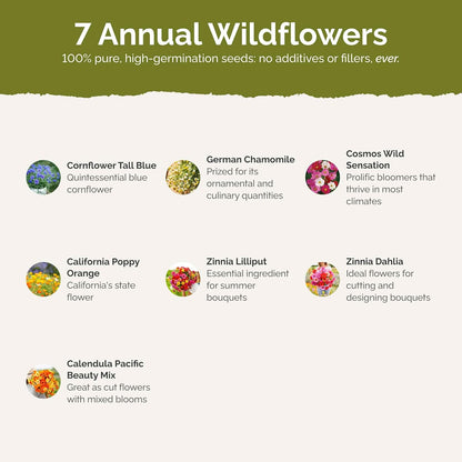 Eden Brothers Field Day Flower Mixed Seeds for Planting, 1 lb, 480,000+ Seeds with Zinnia Lilliput, Calendula Mix | Attracts Pollinators, Plant in Spring or Fall, Zones 3, 4, 5, 6, 7, 8, 9, 10