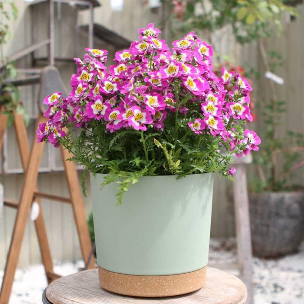 ZMTECH Plant Pots, Set of 3 8'' Self Watering Plastic Planter with Drainage Hole and Saucer, Modern Decorative Flower Pot for Indoor Outdoor House Plants, Succulents, Flowers - Green