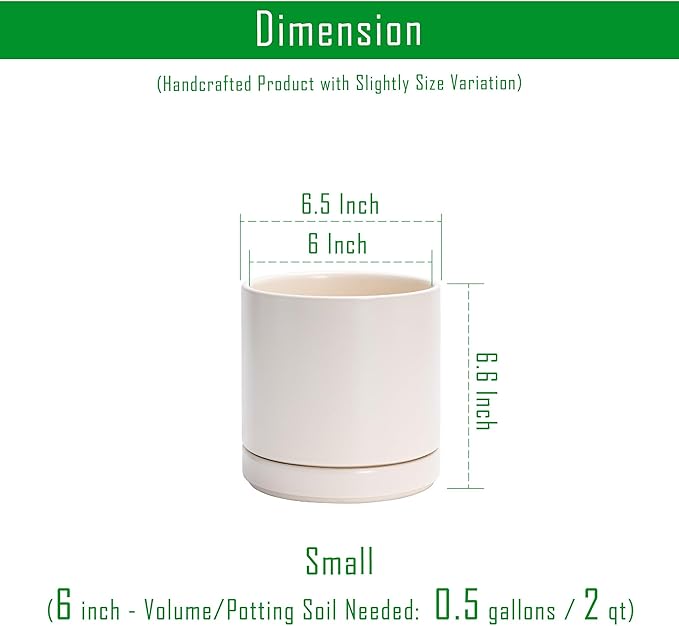 D'vine Dev Set of 2 Plants Pots, 6.5 Inch Ceramic Planter Pot for Plants with Drainage Hole and Saucer, Oatmeal, 94-V-C-8