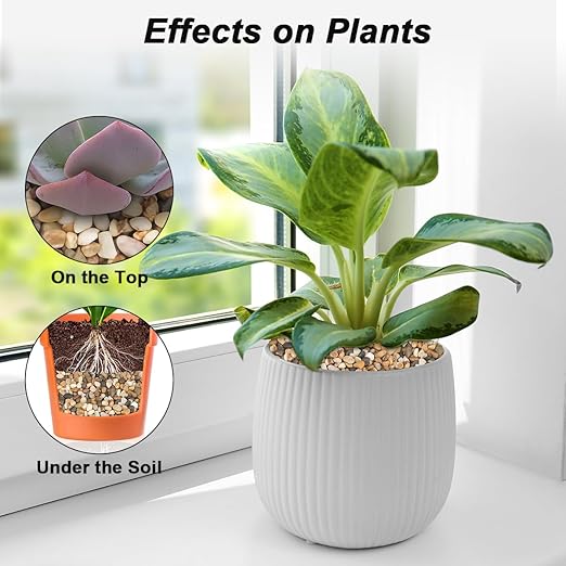 Landscaping Pebbles River Rocks Decorative Ornamental Pebbles Garden Landscaping Stones Gravel Filler for Home Decoration Flower Bed Fish Tank Plants Vases Succulents (Mix Color, 10 Pounds)