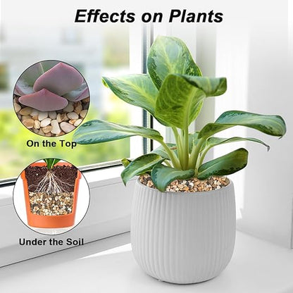 Landscaping Pebbles River Rocks Decorative Ornamental Pebbles Garden Landscaping Stones Gravel Filler for Home Decoration Flower Bed Fish Tank Plants Vases Succulents (Mix Color, 10 Pounds)