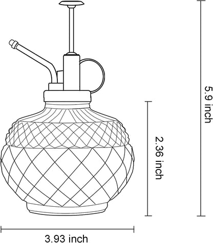 OFFIDIX Plant Mister, 300ML Vintage Glass Spray Bottle with Plastic Top Pump, Small Decorative Spritzer Watering Can for Indoor Outdoor House Plants (Transparent)