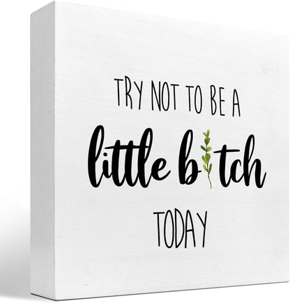 Funny Home Wood Decor Sign,Try not to Be a Little B Today Sign,Humor Wooden Box Plaque Sign Desk Decor for Home Office Shelf Table Decor Decorations